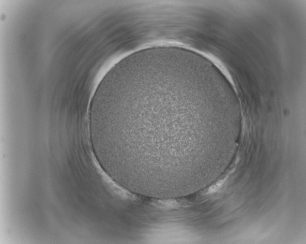 X0000070400911200606161342