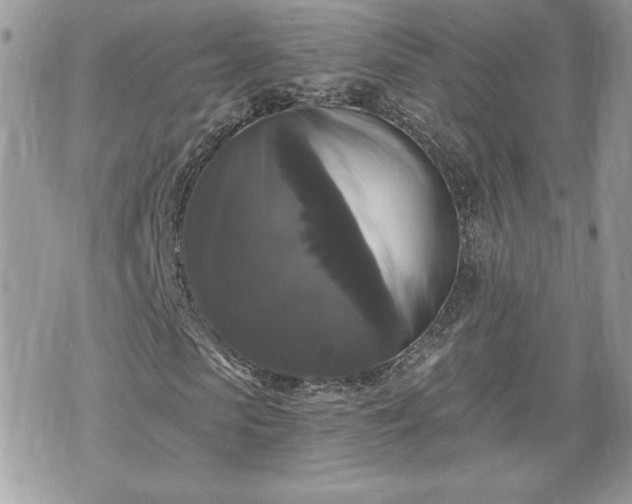 X0000070400913200606161341