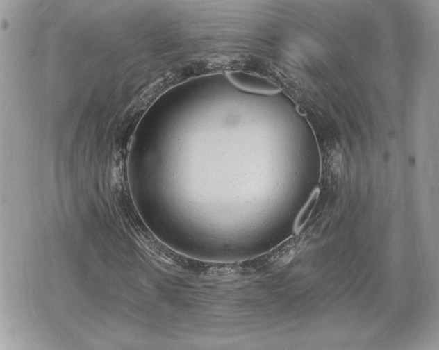 X0000070400914200606161341