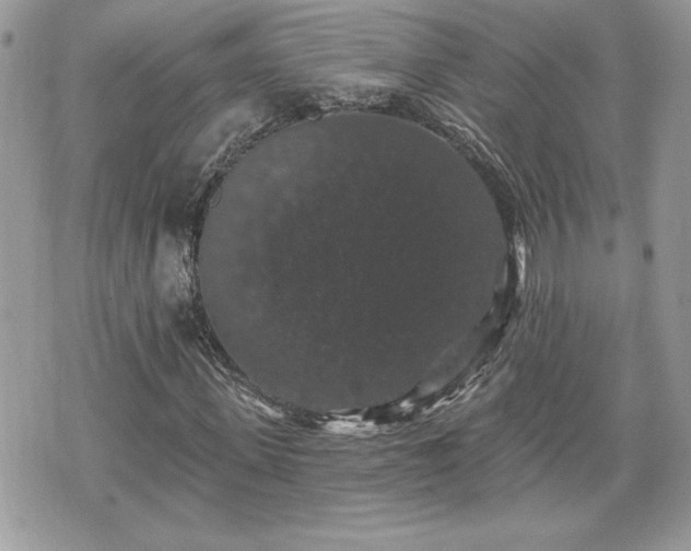 X0000070400915200606161341