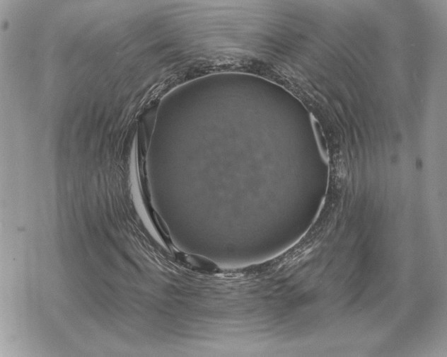 X0000070400916200606161341