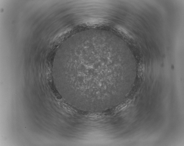 X0000070400917200606161341