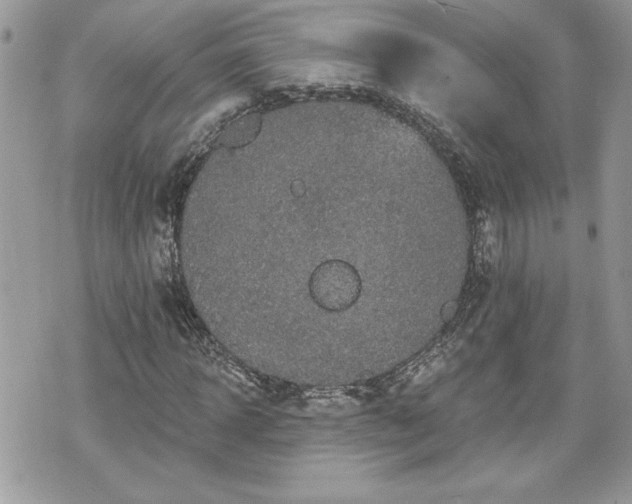 X0000070400918200606161341