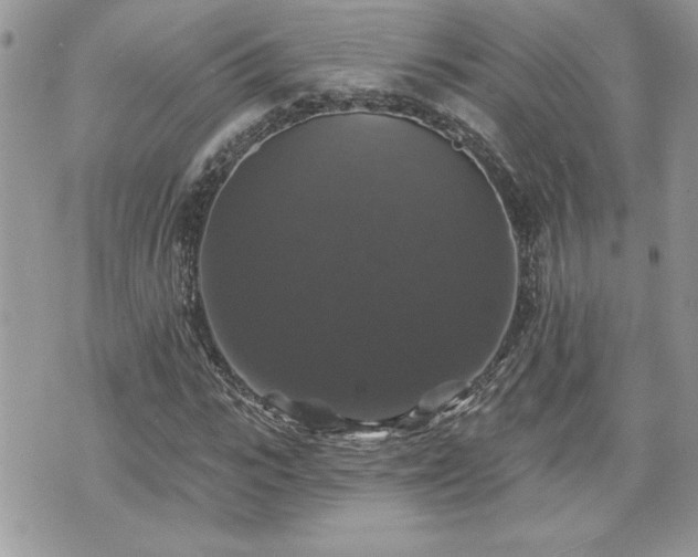 X0000070400919200606161341