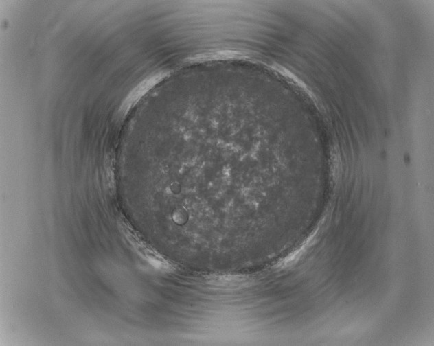 X0000070400921200606161341