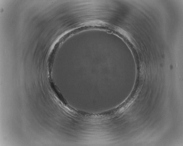 X0000070400923200606161341