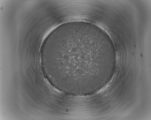 X0000070400925200606161341