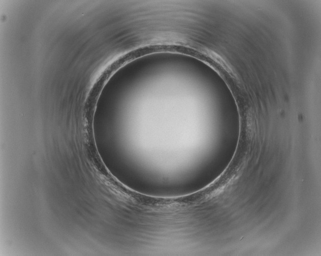 X0000070400926200606161341