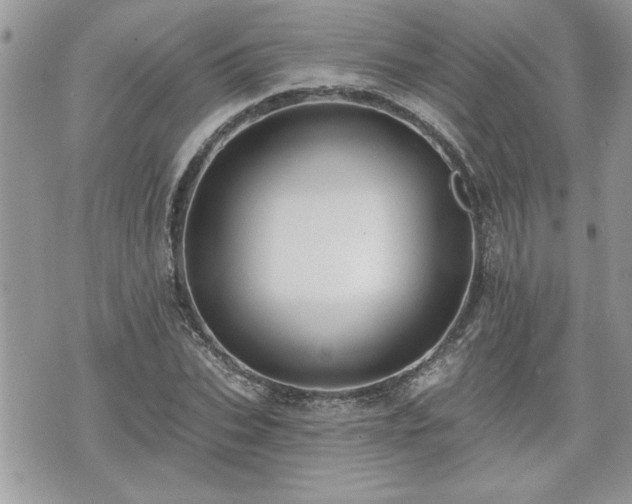 X0000070400927200606161341