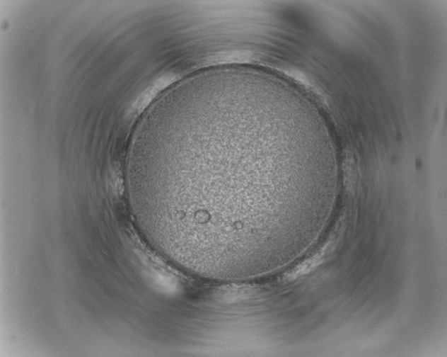 X0000070400929200606161341