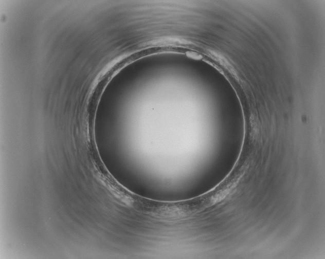 X0000070400931200606161342