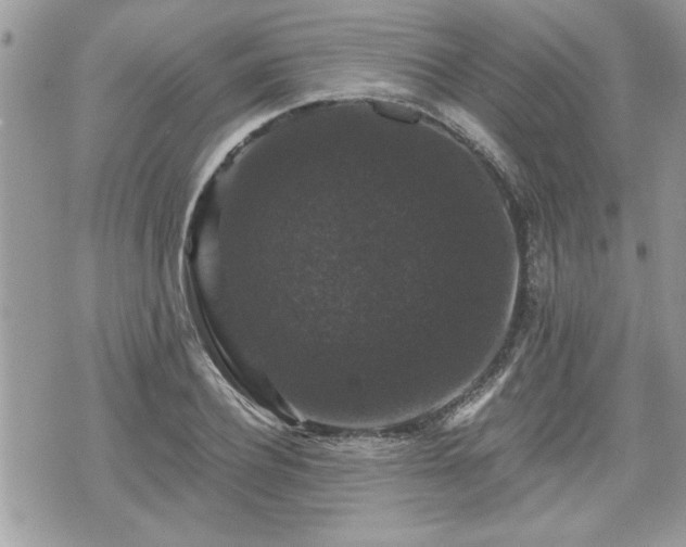 X0000070400932200606161342