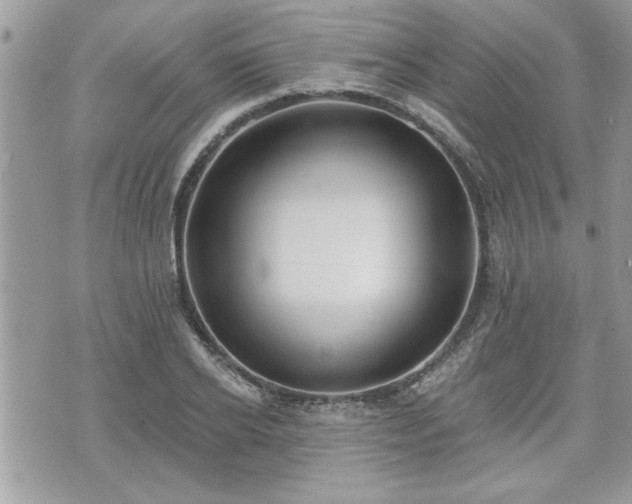 X0000070400934200606161342