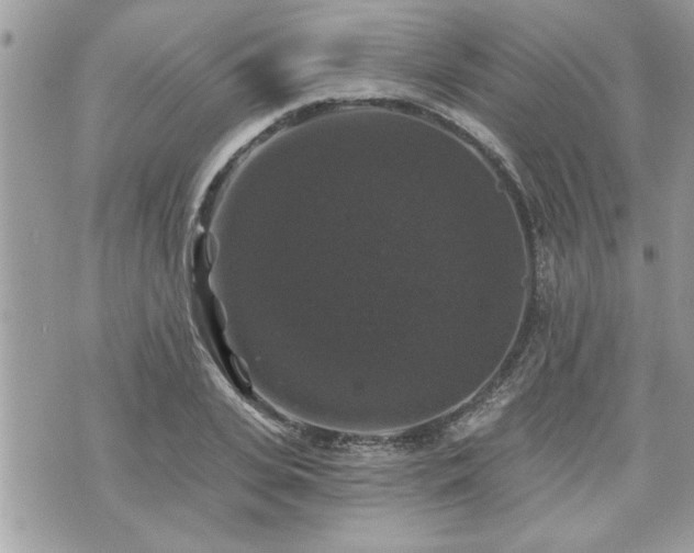 X0000070400935200606161342