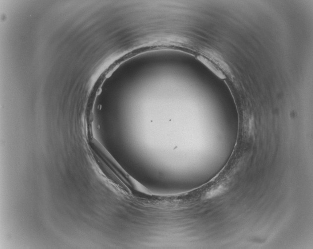 X0000070400936200606161342