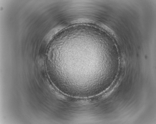 X0000070400937200606161342