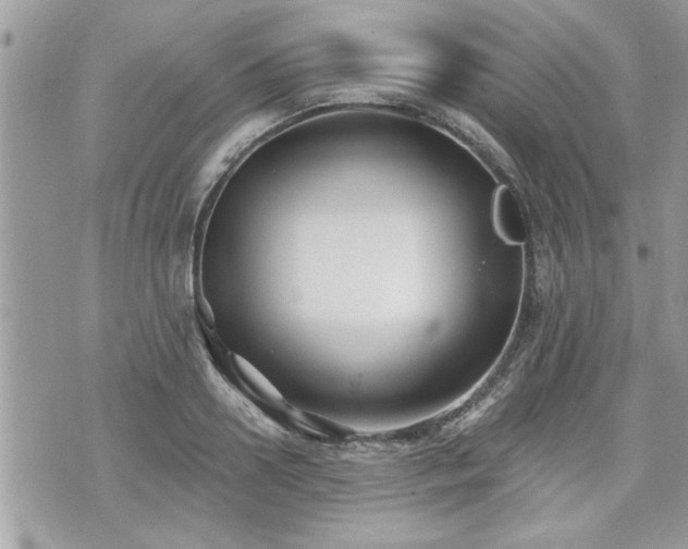 X0000070400938200606161342