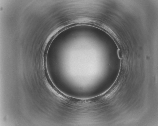 X0000070400939200606161342