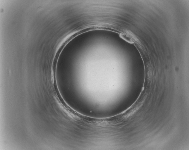 X0000070400940200606161342