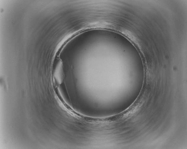 X0000070400941200606161342