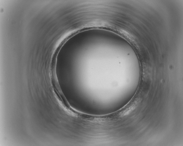 X0000070400942200606161342