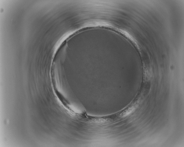 X0000070400943200606161342