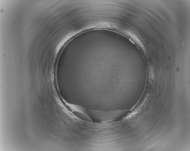 X0000070400944200606161342