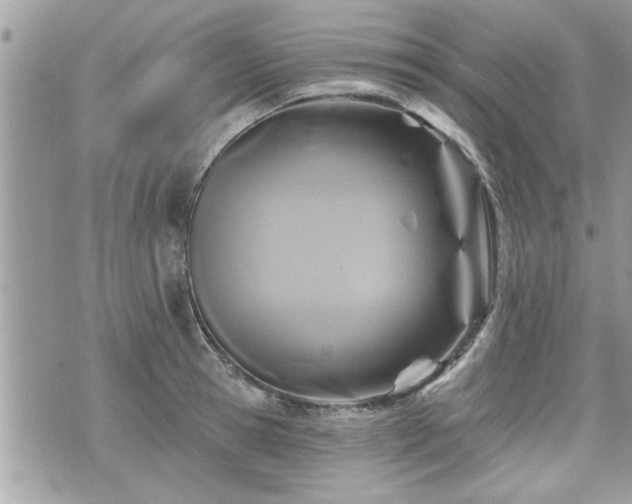 X0000070400945200606161342