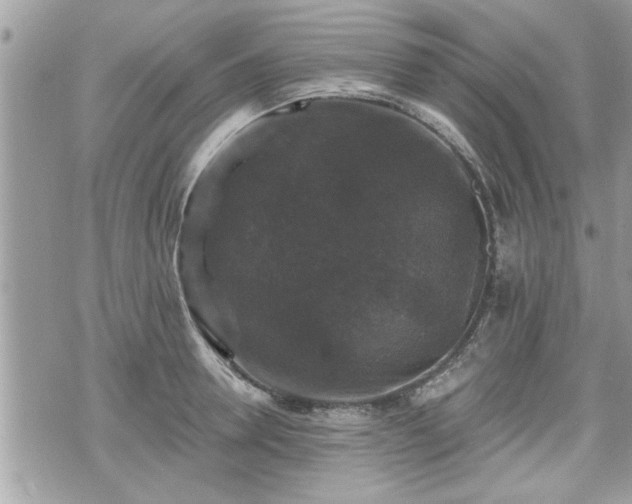 X0000070400946200606161342