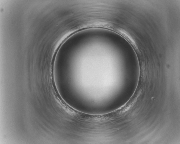 X0000070400948200606161342