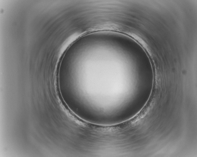 X0000070400949200606161342