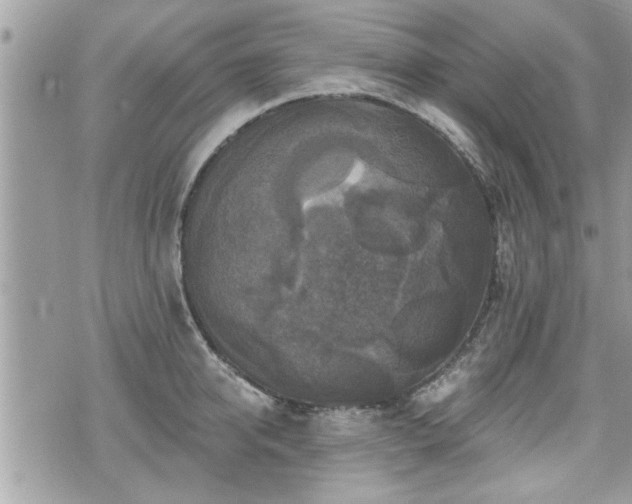 X0000070400950200606161342