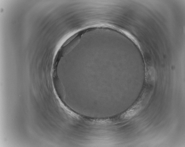 X0000070400951200606161342