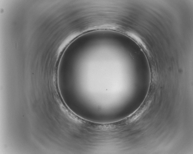 X0000070400952200606161342