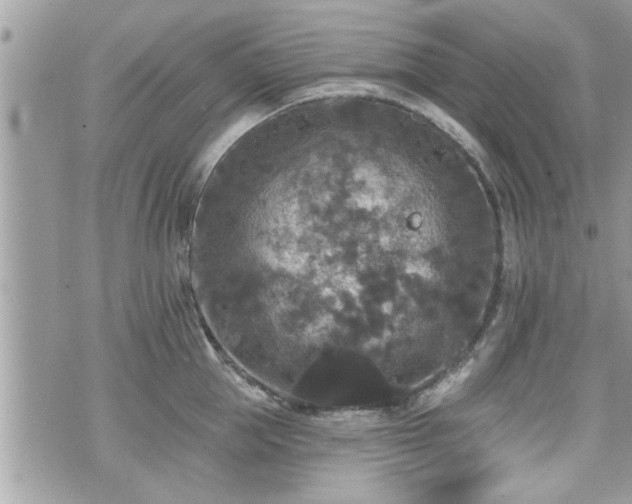 X0000070400953200606161342