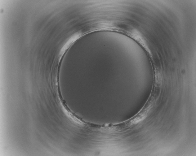 X0000070400954200606161342