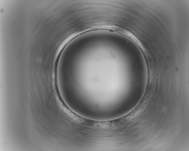 X0000070400955200606161342