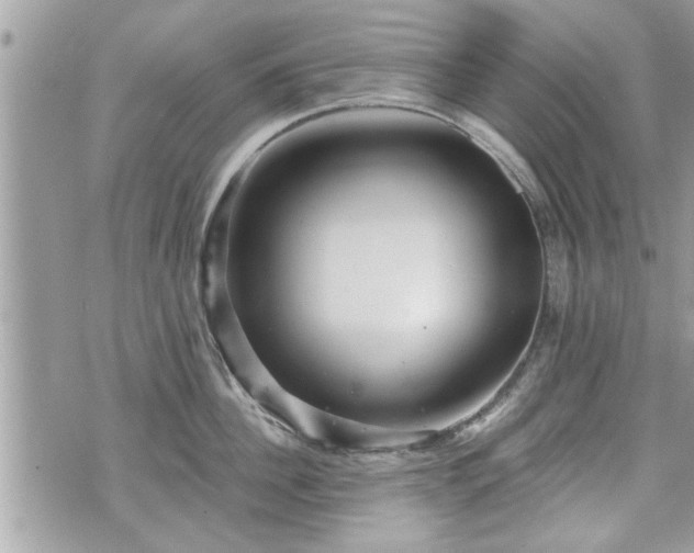 X0000070400956200606161342