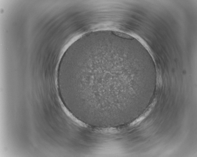 X0000070400957200606161342