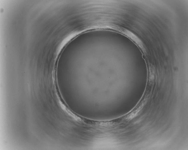 X0000070400958200606161342