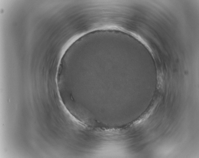 X0000070400959200606161342