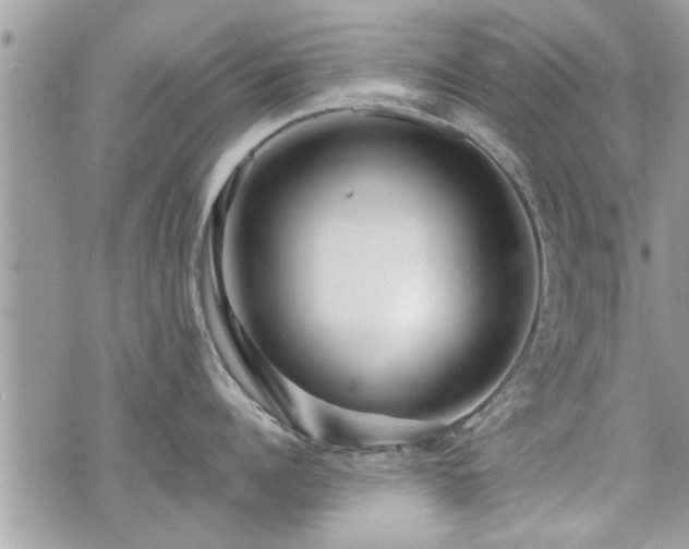 X0000070400960200606161342