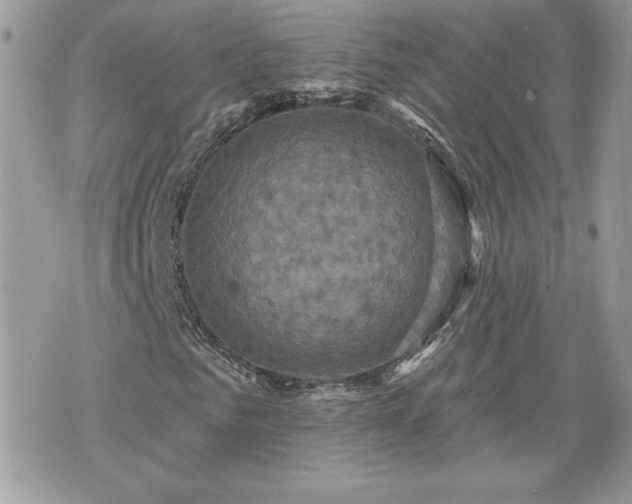 X0000070400961200606161341