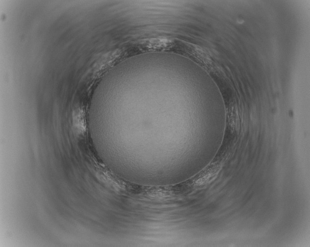 X0000070400962200606161341