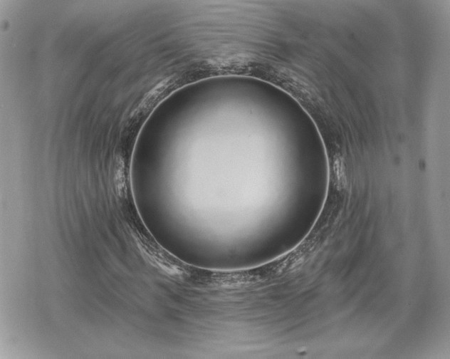 X0000070400963200606161341