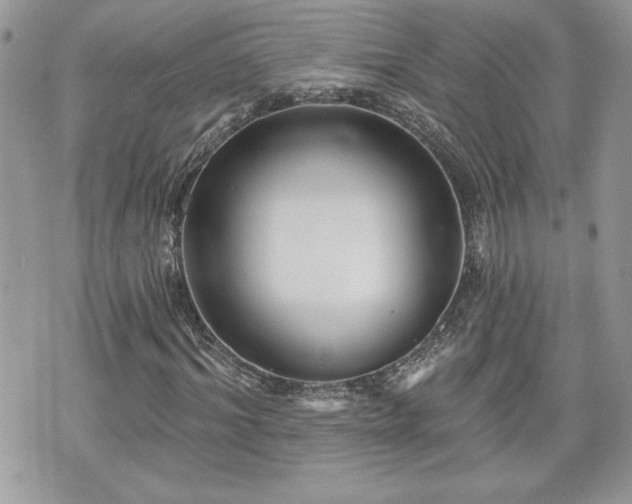 X0000070400964200606161341