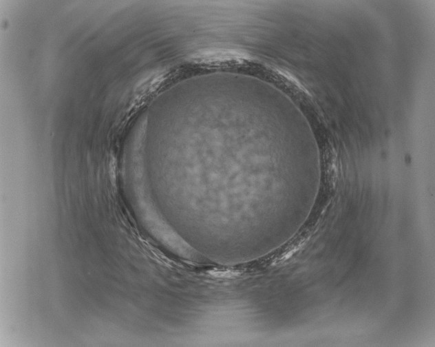 X0000070400965200606161341