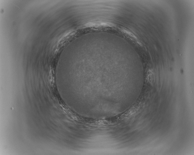 X0000070400966200606161341