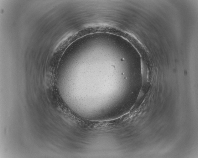 X0000070400967200606161341