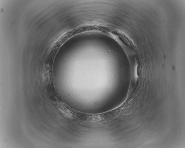 X0000070400968200606161341